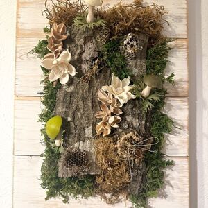 🌿 Rustic Specimen Wall Art – Handmade with Real Wasp Nests & Wire Wasp #1